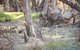 Nyah Vinifera Park - thumb 0