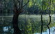 Nyah Vinifera Park - thumb 2
