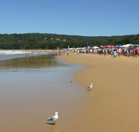 Ocean Beach Umina - Find Attractions