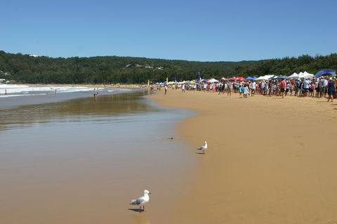 Ocean Beach Umina - Find Attractions 0