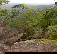 Pigeon House Mountain Didthul Walking Track - Find Attractions