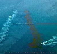 Port Noarlunga Reef Sanctuary Zone - Encounter Marine Park - Find Attractions