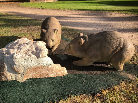 Queen Square, Moonta - Find Attractions 1