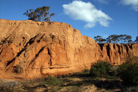 Red Banks Conservation Park - Find Attractions 0