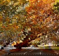 Richmond - Find Attractions