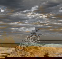 Rosebud Beach - Find Attractions