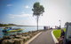 Round The Bay Walking Track: Huskisson To Vincentia - thumb 0