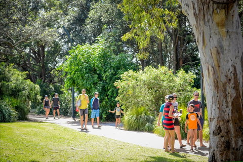 Round The Bay Walking Track: Huskisson To Vincentia - Find Attractions 1