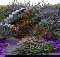 Rustique Lavender Farm - Find Attractions