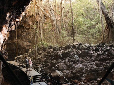 Savannah Way - Find Attractions 0
