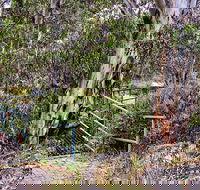 Sawpit Walking Track - Find Attractions