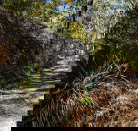Starlights Trail - Find Attractions