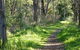 Stoodley Forest Walk And Arboretum - thumb 0
