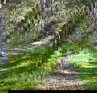 Stoodley Forest Walk and Arboretum - Find Attractions