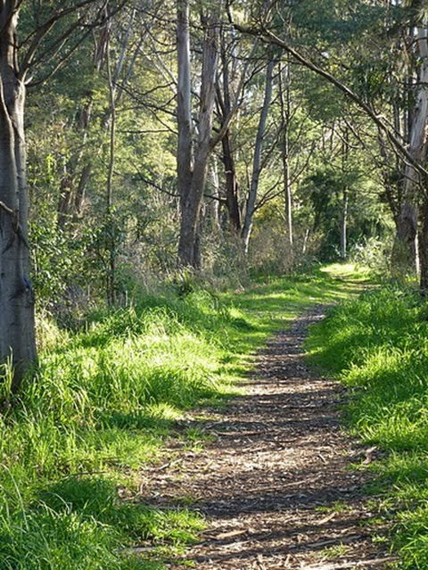 Stoodley Forest Walk And Arboretum - Find Attractions 0