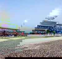 Tabcorp Park - Find Attractions