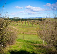 Tarago Truffles - Find Attractions