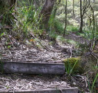 Tea Tree Falls Walking Track - Find Attractions