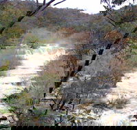 The Falls Water Falls - Find Attractions