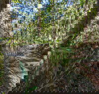 Thylogale Track - Find Attractions