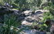 Towarri National Park - thumb 0