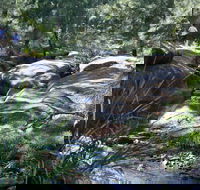 Towarri National Park - Find Attractions
