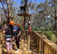 Trees Adventure - Yanchep Park - Find Attractions