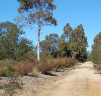 Werakata National Park - Find Attractions