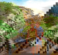 Woody Island Nature Reserve - Find Attractions