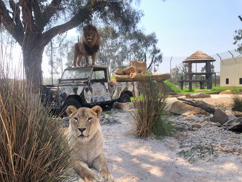 Zambi Wildlife Retreat - Find Attractions 0