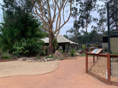 Zambi Wildlife Retreat - Find Attractions 2