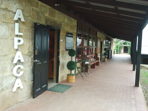Australian Alpaca Barn - Pokolbin - Find Attractions 0