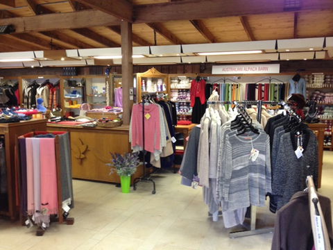 Australian Alpaca Barn - Pokolbin - Find Attractions 2