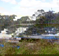 Baldwin Swamp Environmental Park - Find Attractions