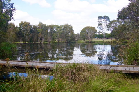 Baldwin Swamp Environmental Park - Find Attractions 0
