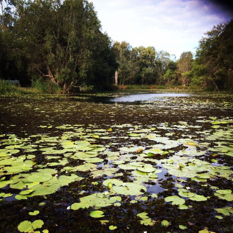 Baldwin Swamp Environmental Park - Find Attractions 1