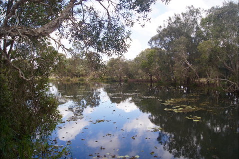 Baldwin Swamp Environmental Park - Find Attractions 2