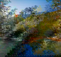 Bargo State Conservation Area - Find Attractions