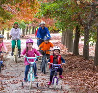 Beechworth to Everton Station 16km - Find Attractions
