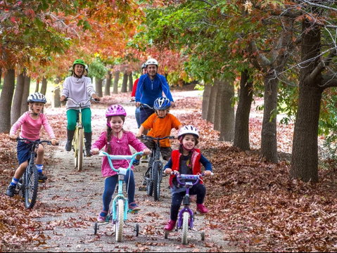 Beechworth To Everton Station 16km - Find Attractions 0