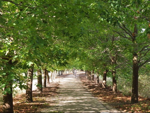 Beechworth To Everton Station 16km - Find Attractions 1