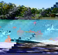 Black Diamond Lake - Find Attractions