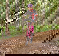 Bom Bom State Forest Mountain Bike Trails - Find Attractions