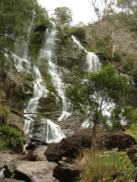 Buddong Falls Walking Track - Find Attractions 0