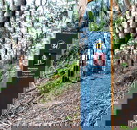 Bulahdelah Mountain Aboriginal Place - Find Attractions