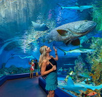 Cairns Aquarium - Find Attractions
