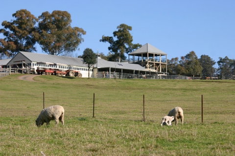 Calmsley Hill City Farm - Find Attractions 0