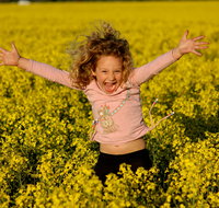 Canola Trail - Find Attractions