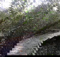 Carole Green Walkway - John Oxley Reserve - Find Attractions