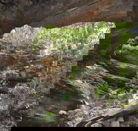 Cave Creek Walking Track - Find Attractions